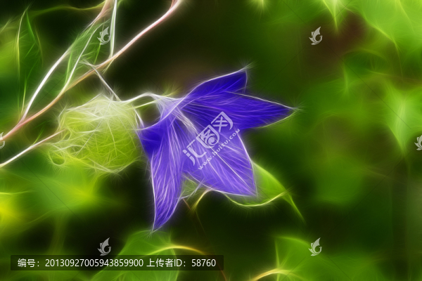 桔?；?電腦抽象畫