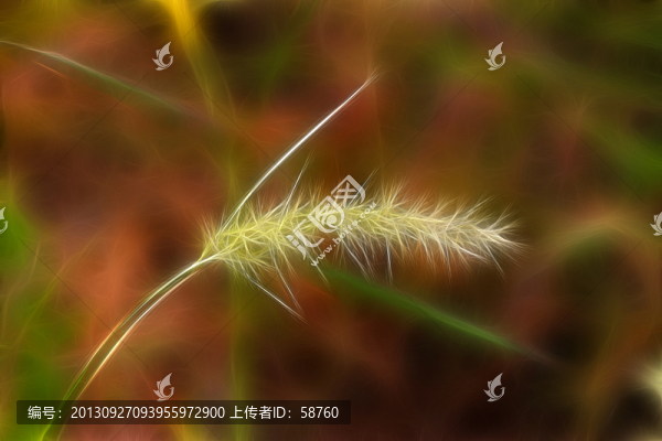 抽象小草