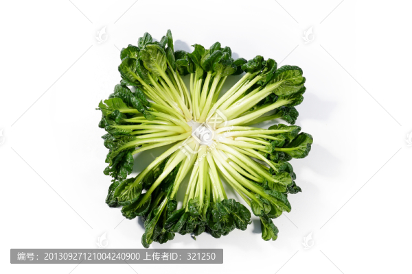 寶塔菜