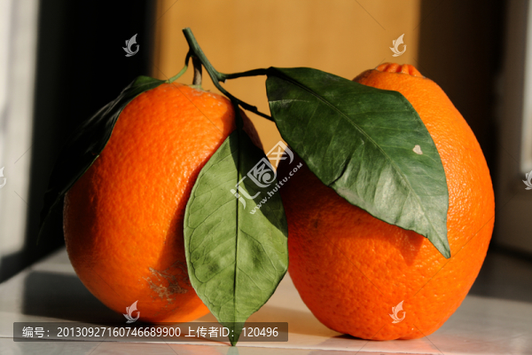橙子特寫(xiě)