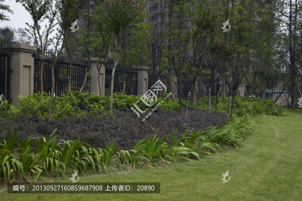 小區(qū)綠化景觀