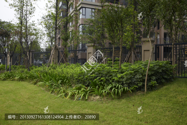 小區(qū)綠化景觀