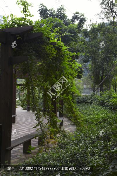 小區(qū)綠化景觀