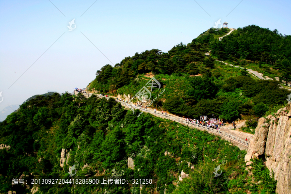 泰山春色