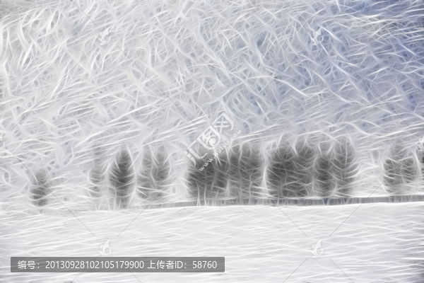 雪野樹影,電腦畫