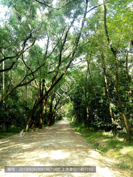 華南農(nóng)業(yè)大學(xué)樹木園