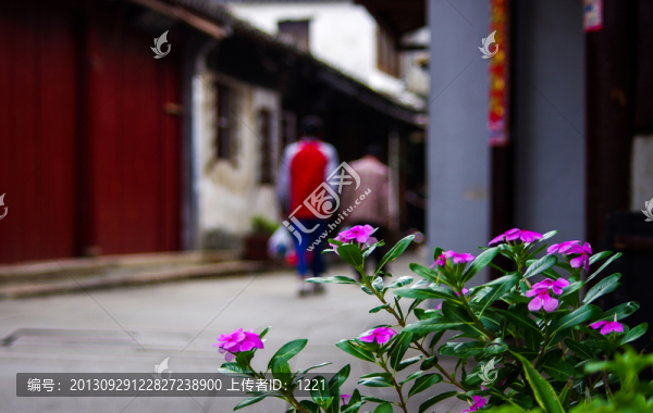 古鎮(zhèn)街