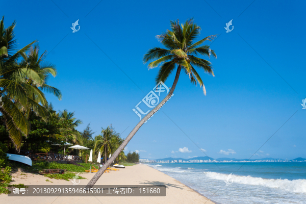 三亞沙灘椰林