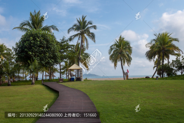 三亞沙灘椰林