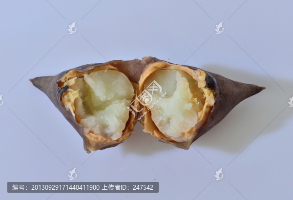 菱角,水栗,菱實,靈果,烏菱