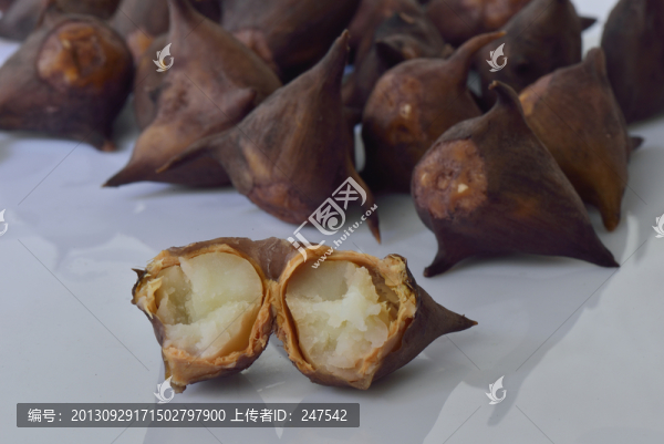 菱角,水栗,菱實(shí),靈果,烏菱