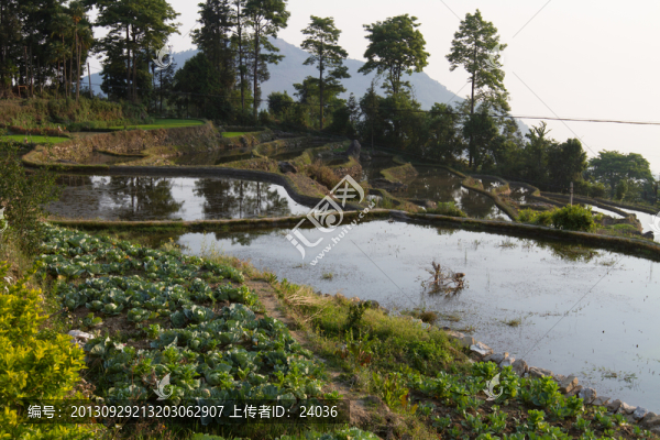 大地雕刻,壩達(dá)梯田一角