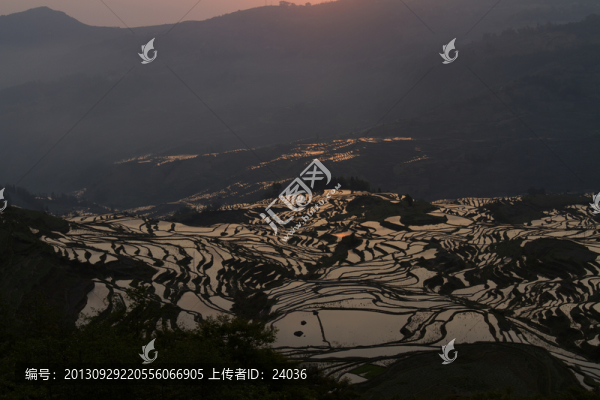 多依樹梯田風光