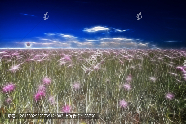 草原之花,電腦抽象畫