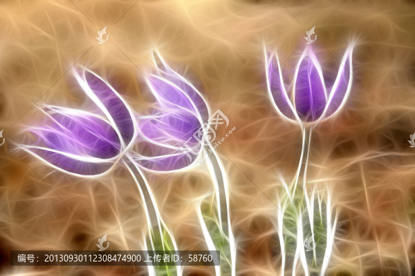 抽象之花,電腦畫(huà)