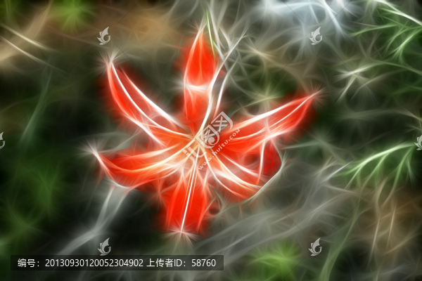 抽象之花,電腦畫