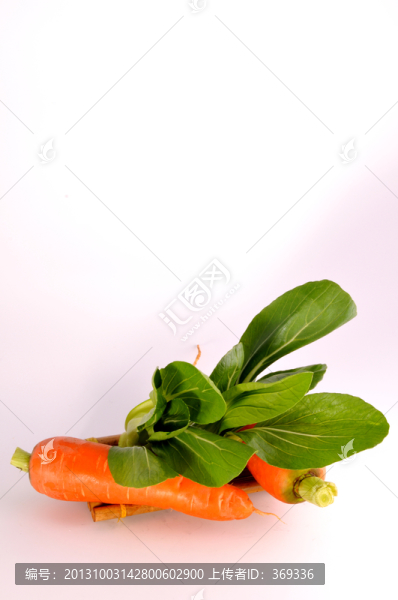蔬菜