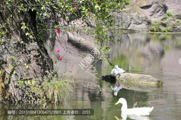 蓮花山,湖光山色