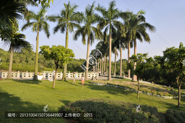 園林景觀,綠化帶