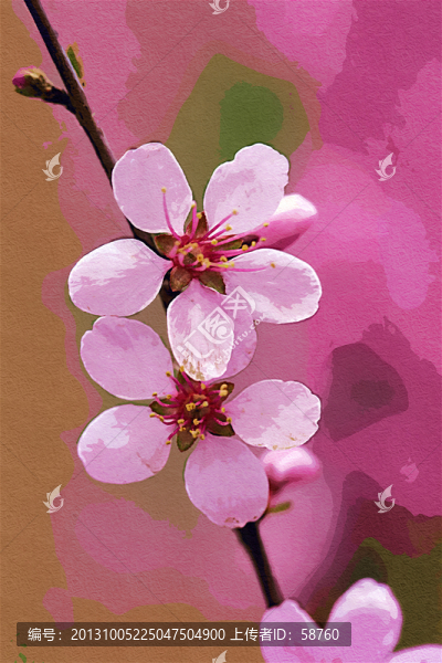 抽象野花,電腦畫(huà)