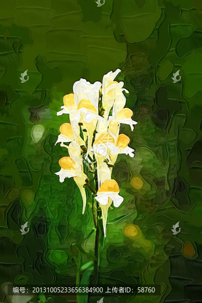 抽象花卉,電腦畫(huà)