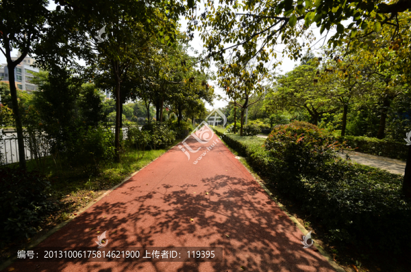 綠道