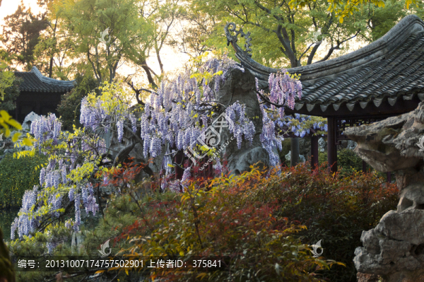 蘇州留園春色