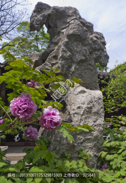蘇州留園春色