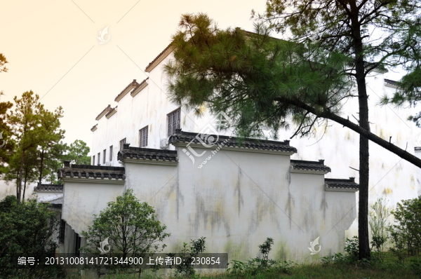 徽派建筑,樹木植物
