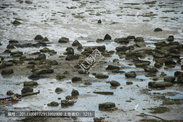 海床,海底