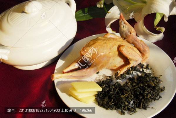 燉湯,乳鴿,乳鴿燉湯