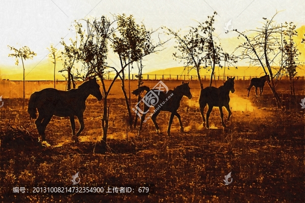 馬兒奔跑,,草原