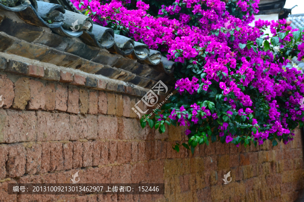 麗江街景