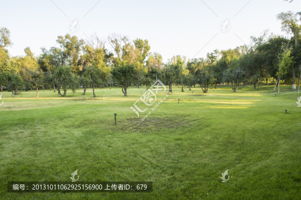 樹林,,草坪