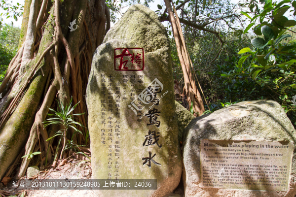 古榕部落景區(qū),石刻,鴛鴦戲水