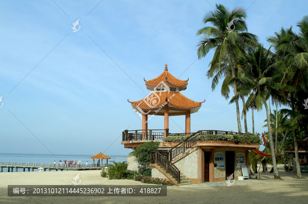 東郊椰林