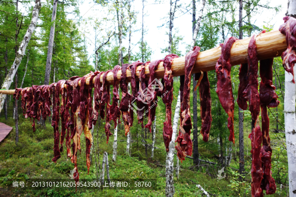 鄂溫克族獵人晾曬鹿肉干