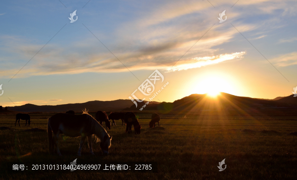 陽(yáng)光的溫馨