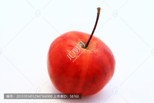 沙果
