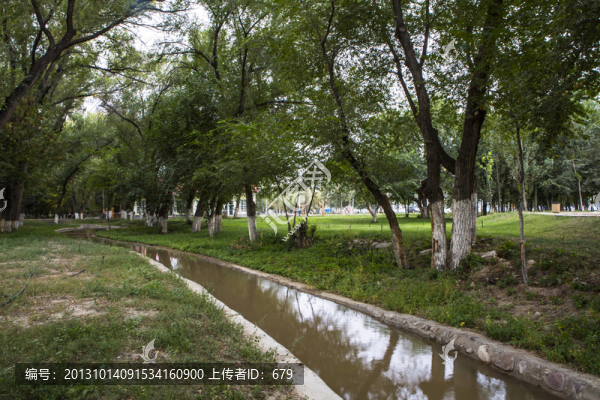水流,,樹林