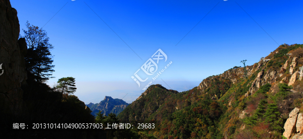 泰山