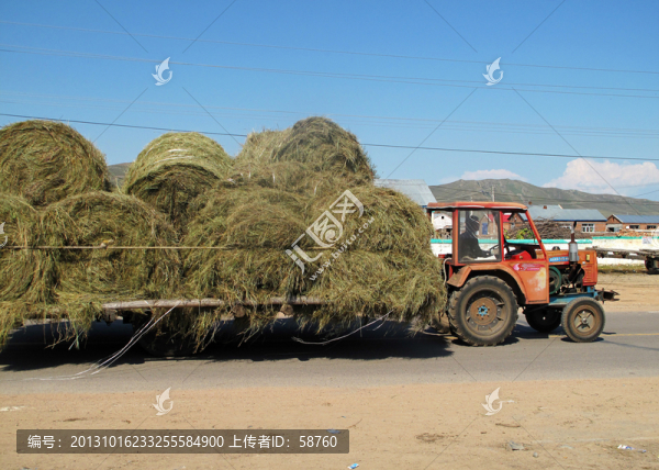 拖拉機運輸飼料草