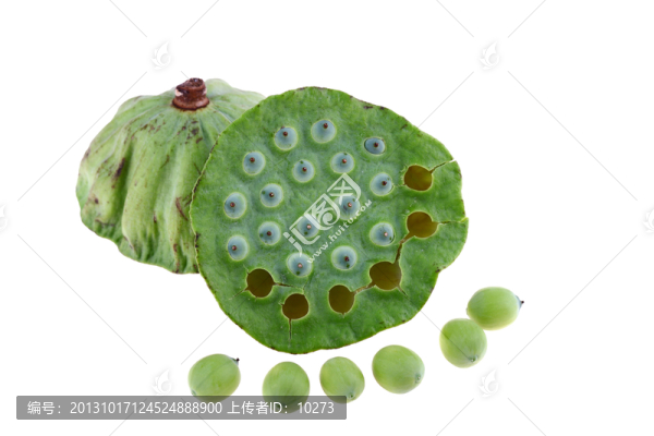 蓮蓬和蓮子