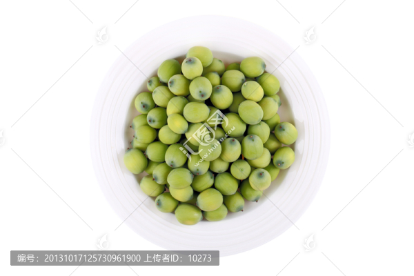 蓮子
