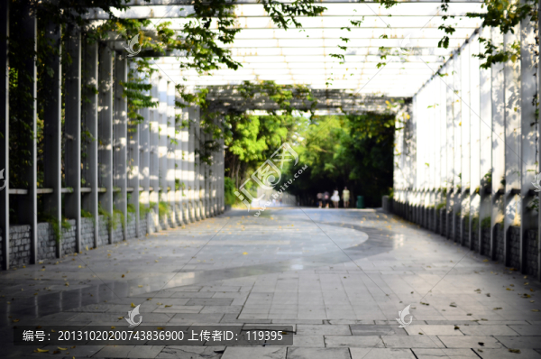 橋