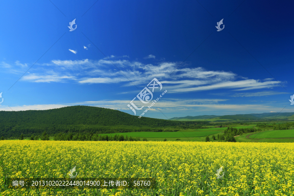 田野風(fēng)光
