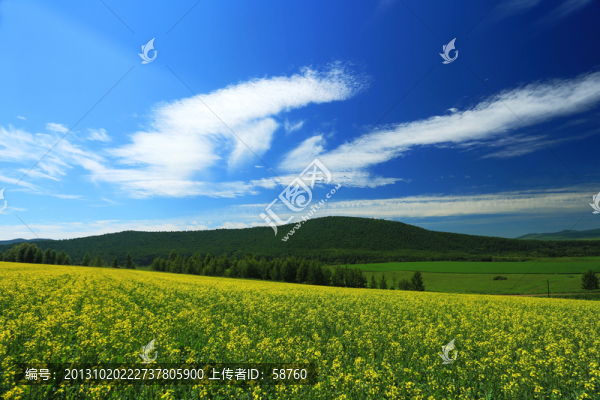 田野風(fēng)光