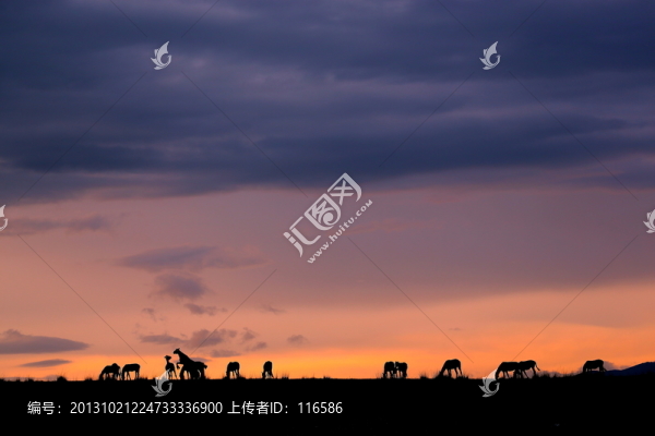 天馬戲爭(zhēng)
