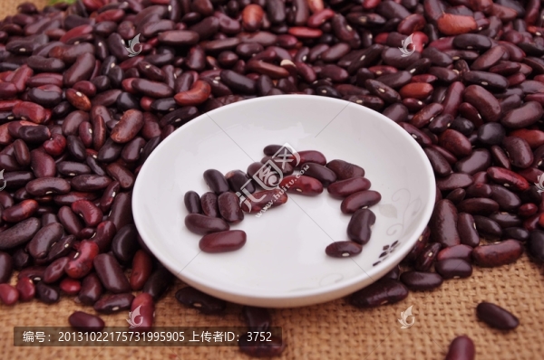 美國紅豆,大紅江豆