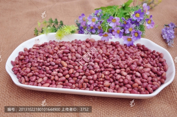 花江豆
